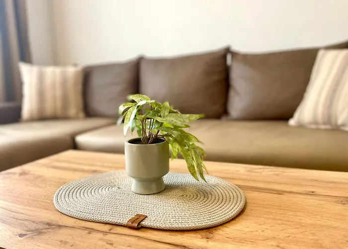 The Mountain Hug 1br By Si 公寓